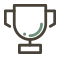 Ico02
